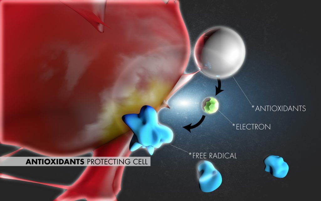 Antioxidants protecting the cell