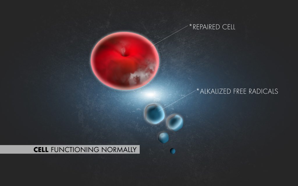 Repaired cell functioning normally