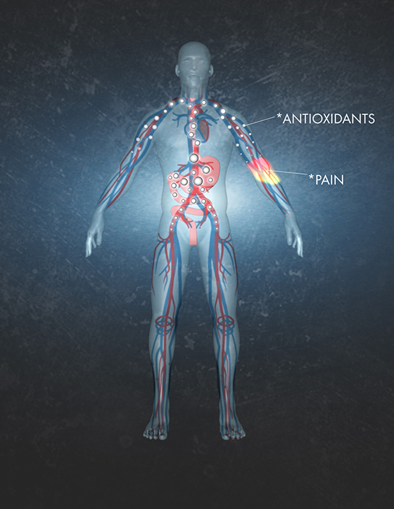 Human body diagram with area of pain and antioxidants.